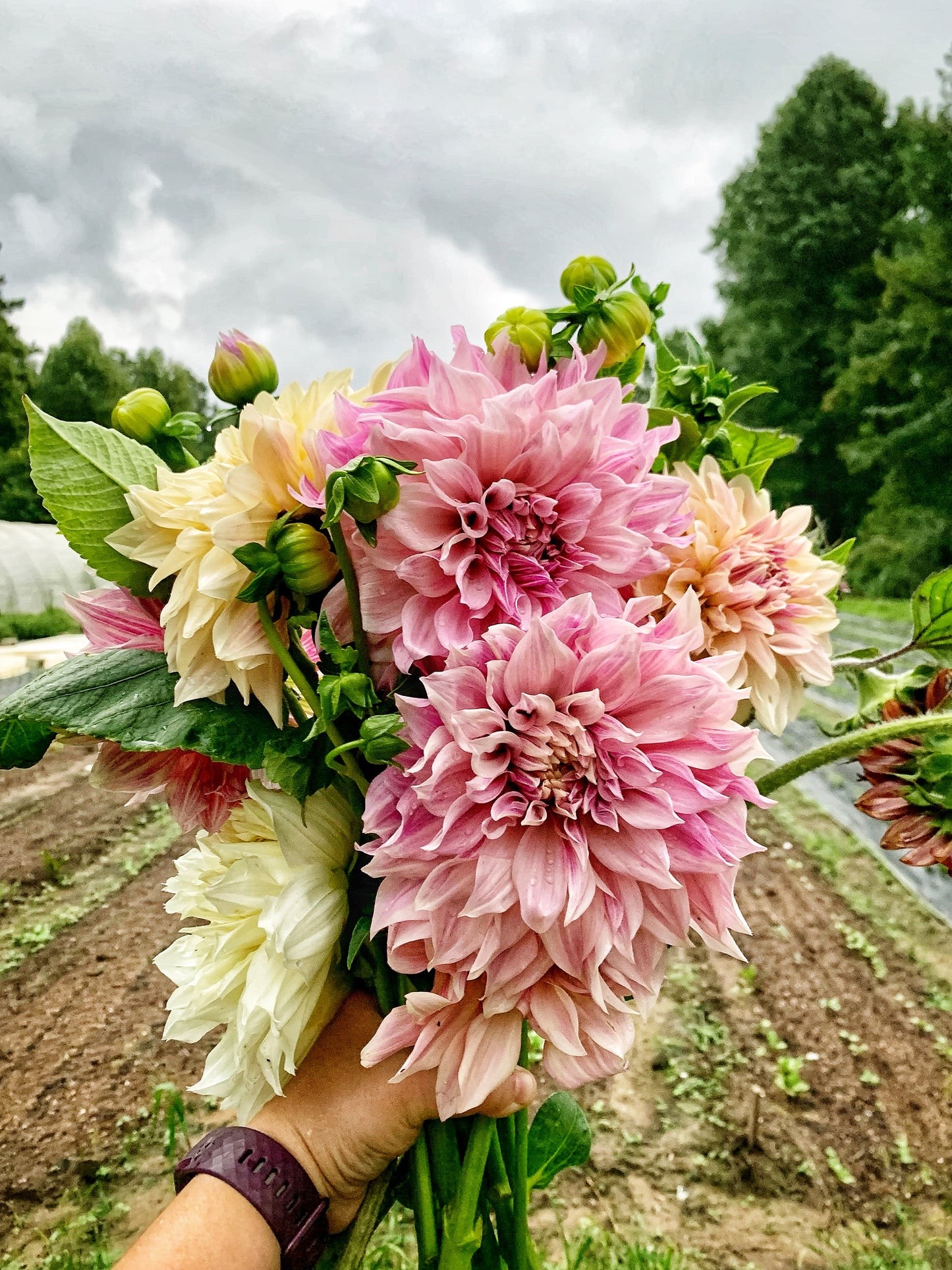 Fall Bouquet Subscription