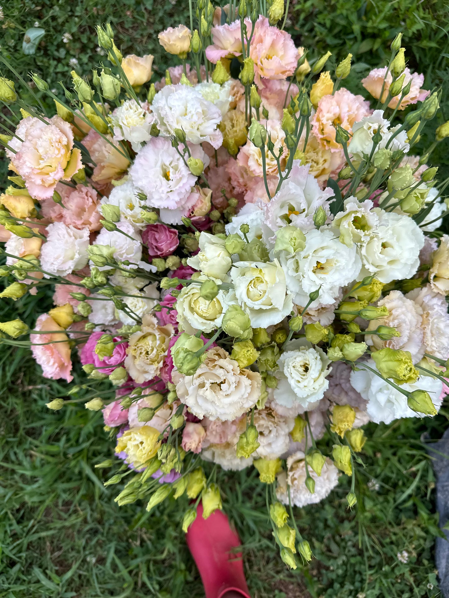 Fall Bouquet Subscription