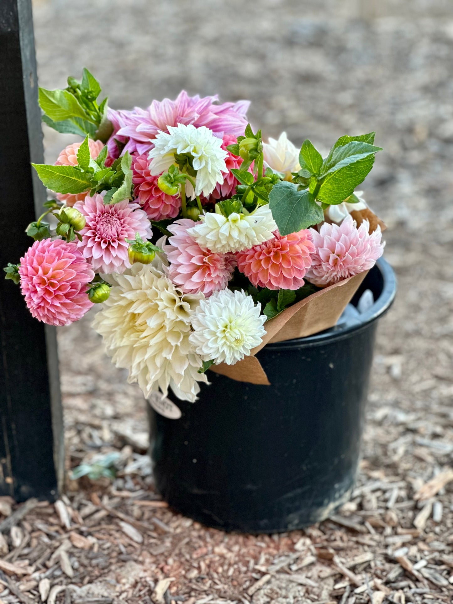 Fall Bouquet Subscription