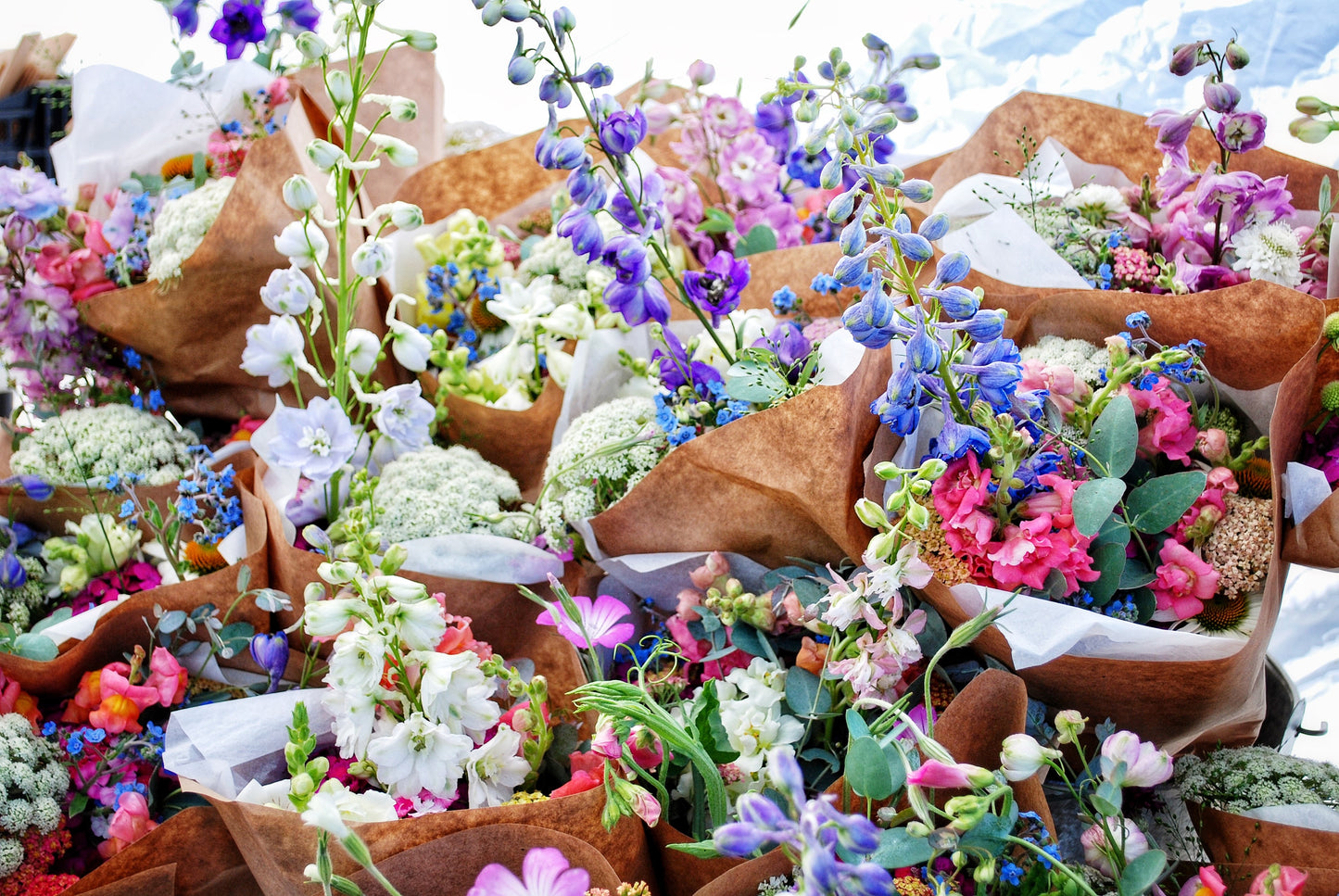 Spring Bouquet Subscription