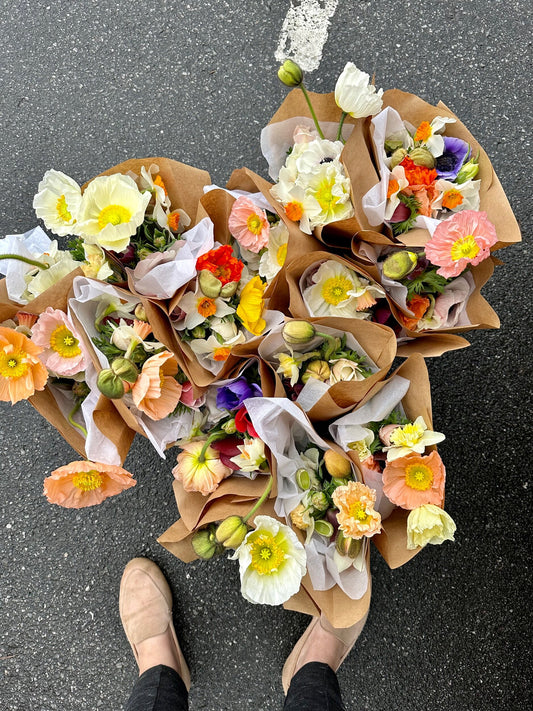 Poppies and Daffodils